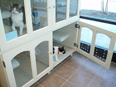 Our boarding facilities are so posh --  I wish I had a Kitty Condo of my very own!